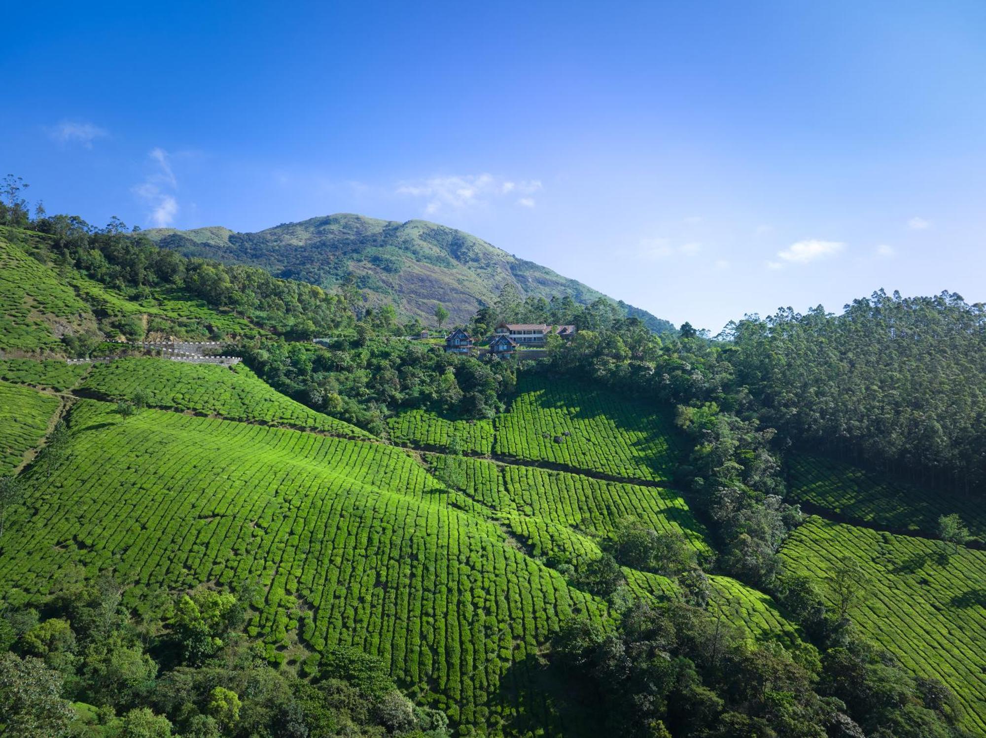 The Planet Munnar Hotel Suryanelli Exterior foto